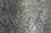 New Smithy fibreglass roof work